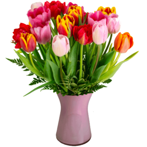 Tulip-Bouquet