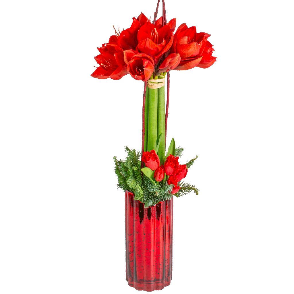 Grand-Amaryllis-Bouquet Grand Amaryllis Bouquet