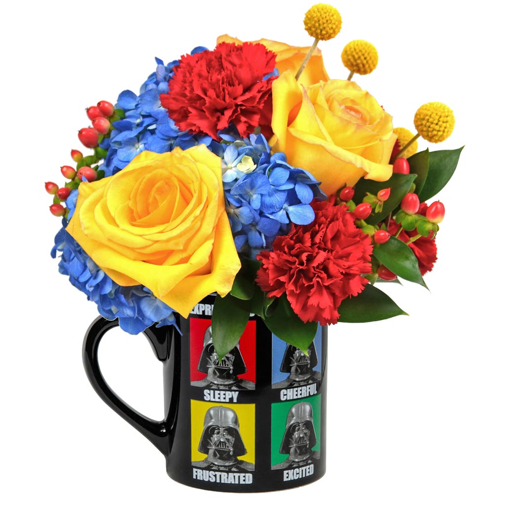 Star-Wars-Darth-Vader-Expressions-Bouquet Star Wars Darth Vader Expressions Bouquet