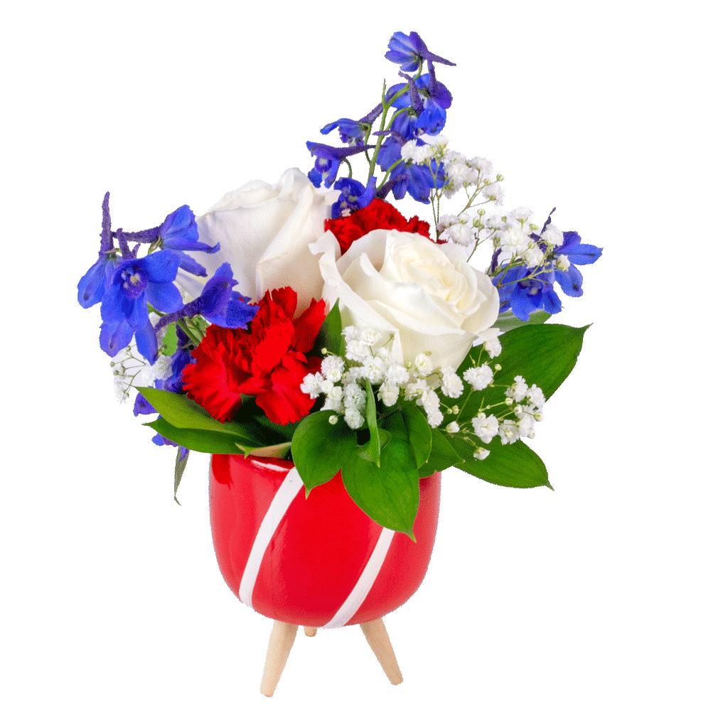 Little-Stars-Patriotic-Bouquet Little Stars Patriotic Bouquet
