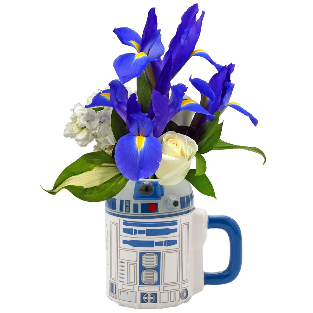 Star-Wars-R2D2-Flower-Mug-2026 Star Wars R2-D2 Flower Mug