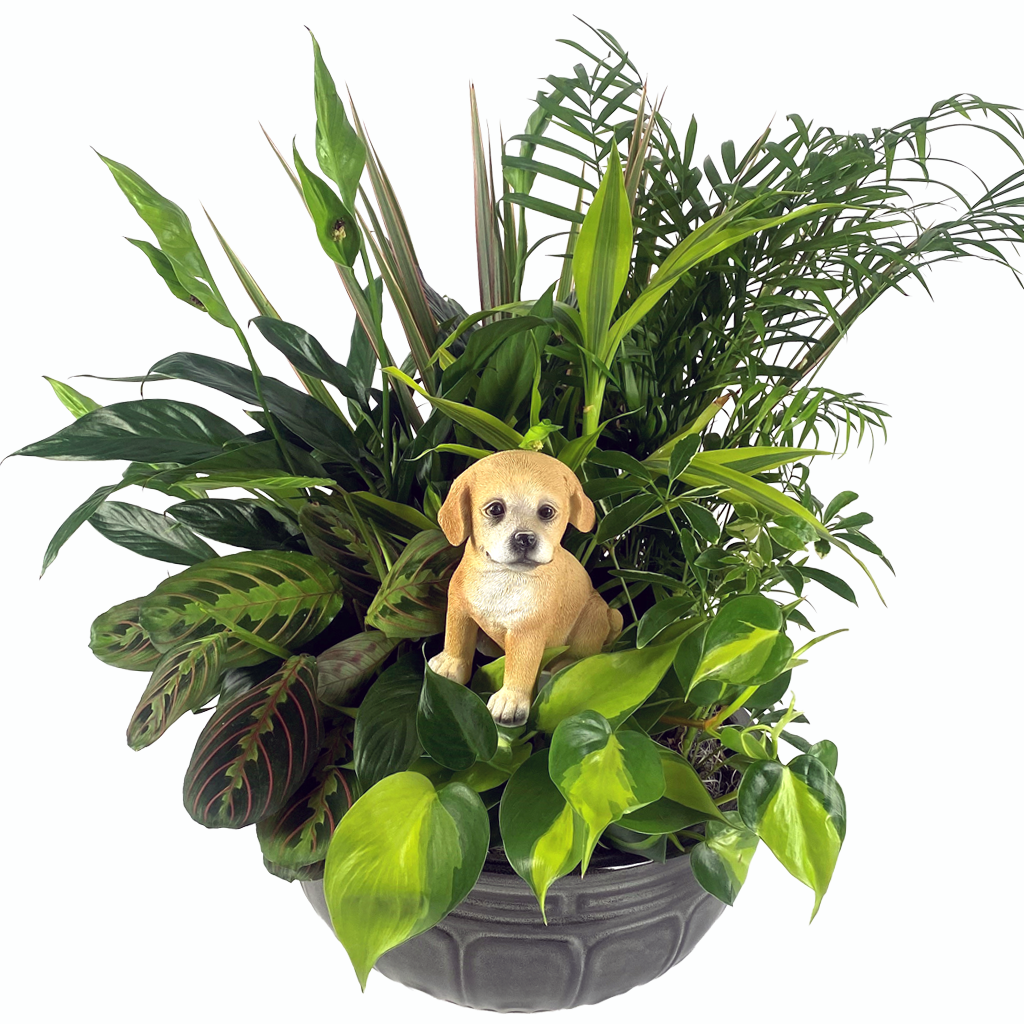 Large Dog Puppy Love Dish Garden